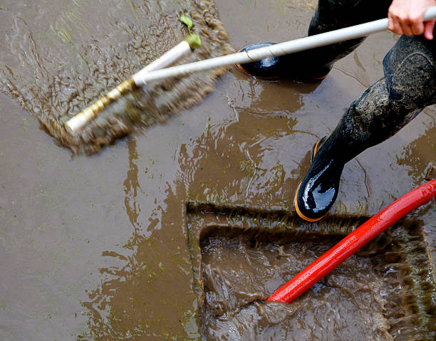The Importance of Sewage Cleanup